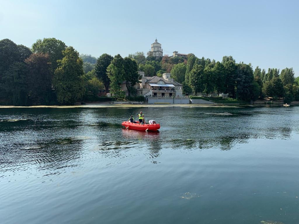 Nastri trasportatori